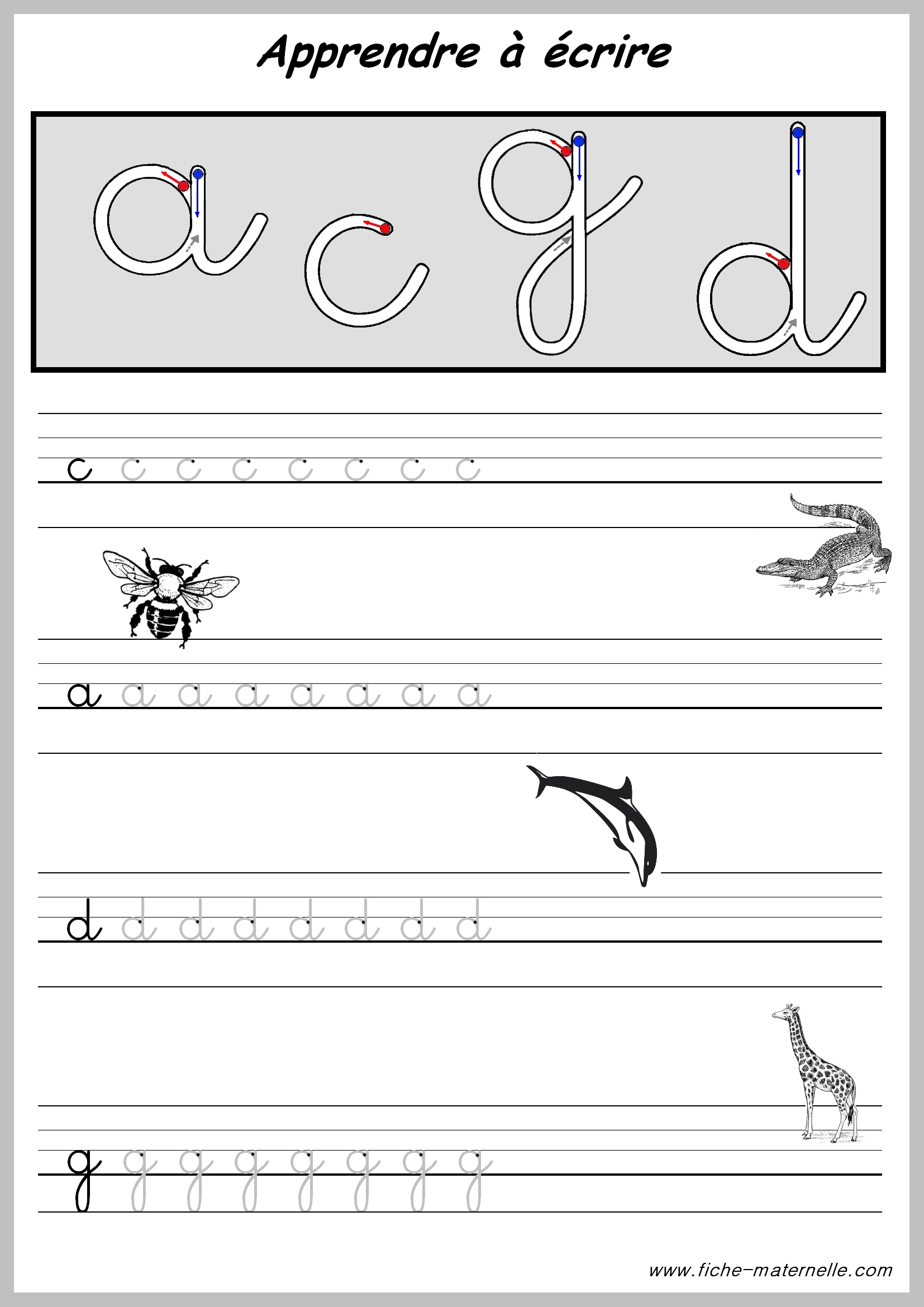 photo comment apprendre les lettres de l alphabet en maternelle