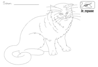 Je repasse au feutre prcisment sur les pointills qui dessinent un chat