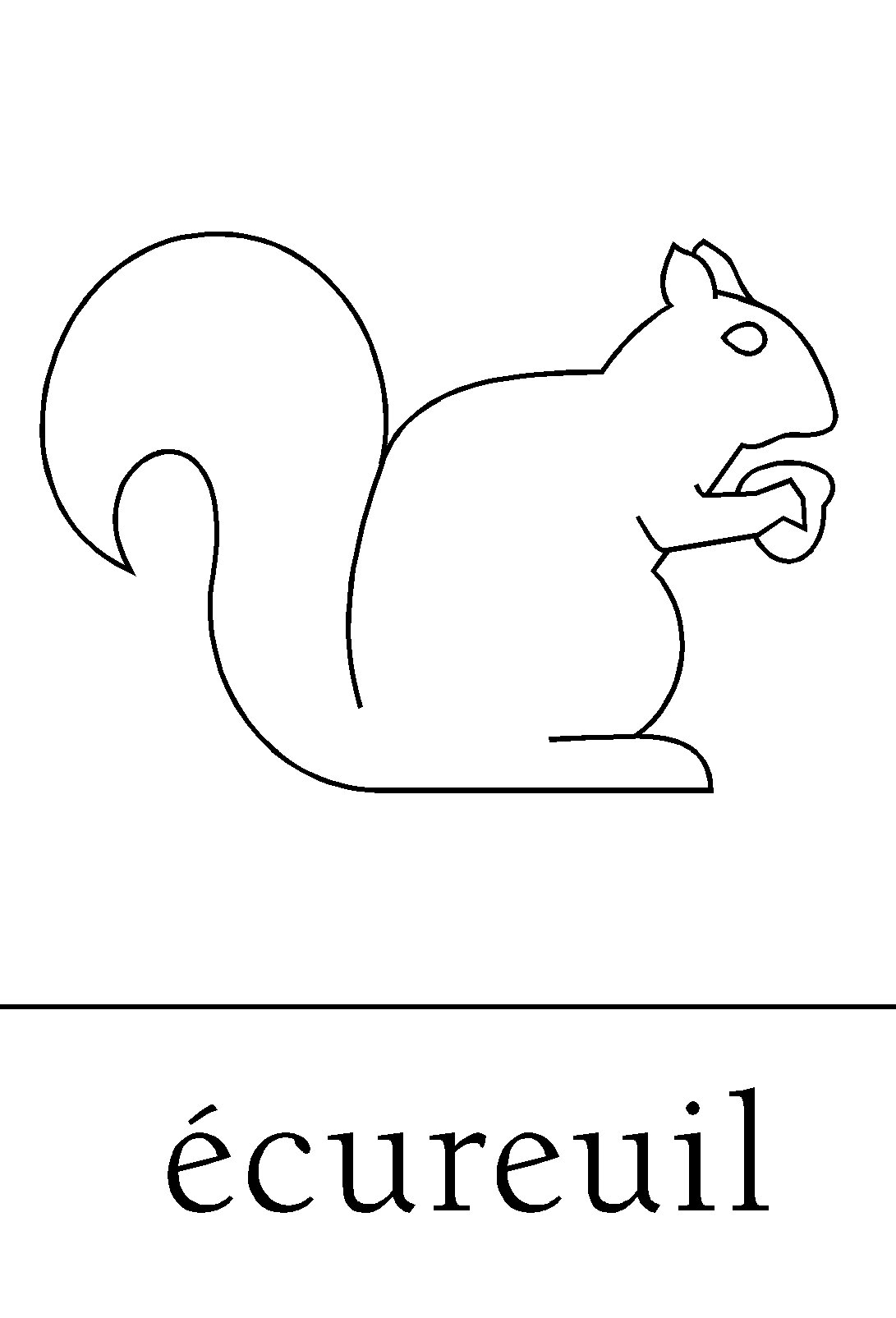 Illustration d'un cureuil en automne