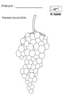 illustration d une grappe de raisin