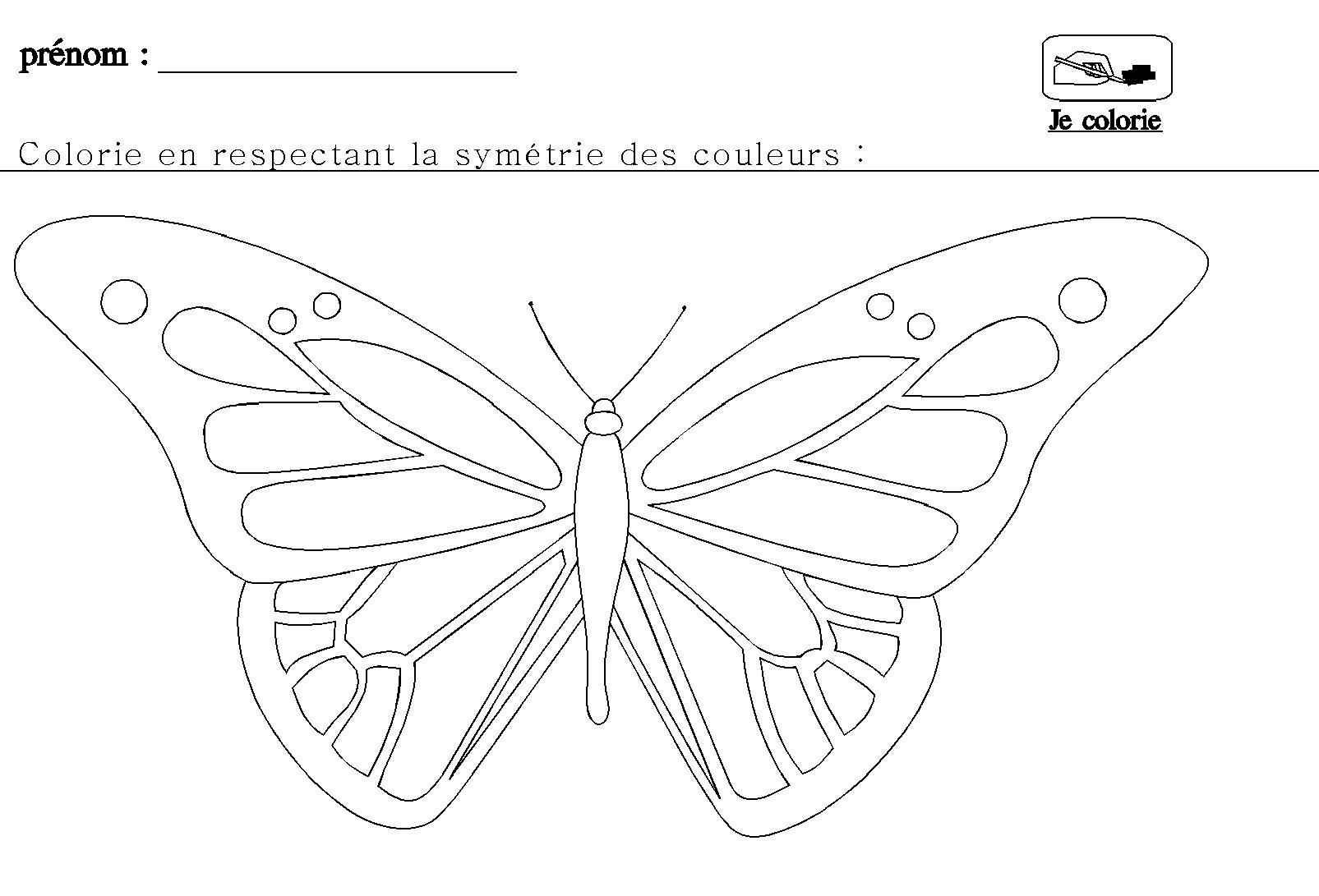 La symétrie en maternelle pour grande section