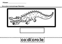 Je trace et je dcoupe les syllabes du mot crocodile