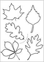 silhouettes de feuilles d arbres