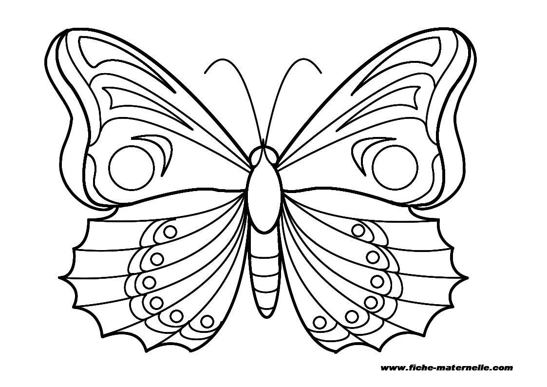Colorier les ailes en respectant la symétrie des couleurs