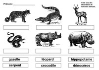 ecrire en cursive le nom des animaux