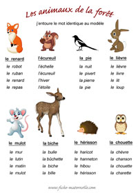 Etiquettes mots à écrire sur le thème des animaux de la forêt