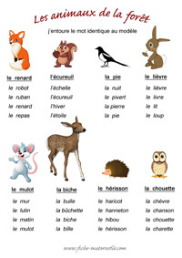 Etiquettes mots  crire sur le thme des animaux de la fort