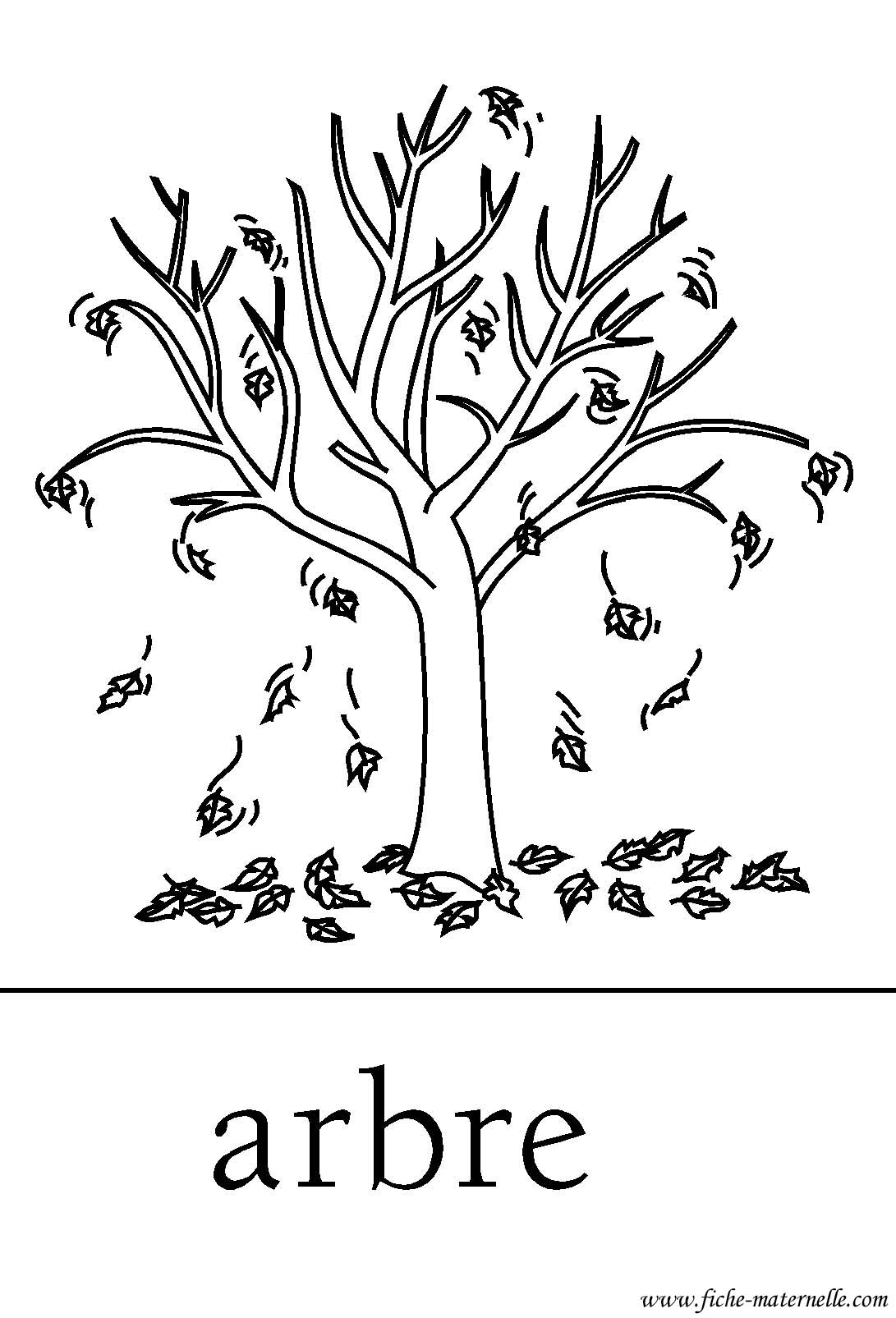 Illustration d'un arbre en automne