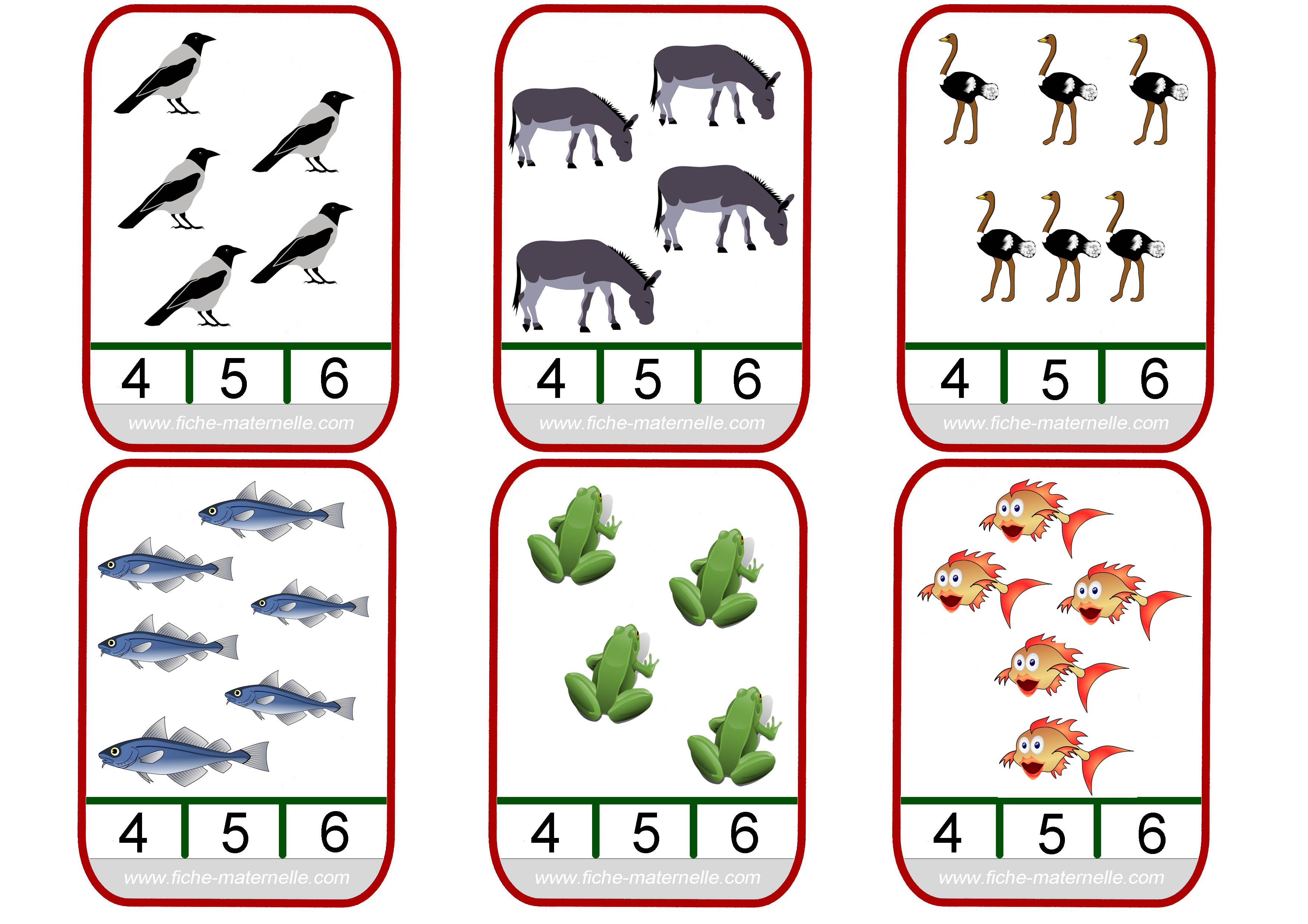 Mathématiques En Maternelle Et Cp