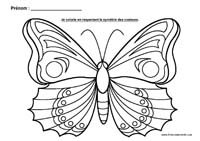 Colorie les ailes du papillon en respectant la symétrie des couleurs