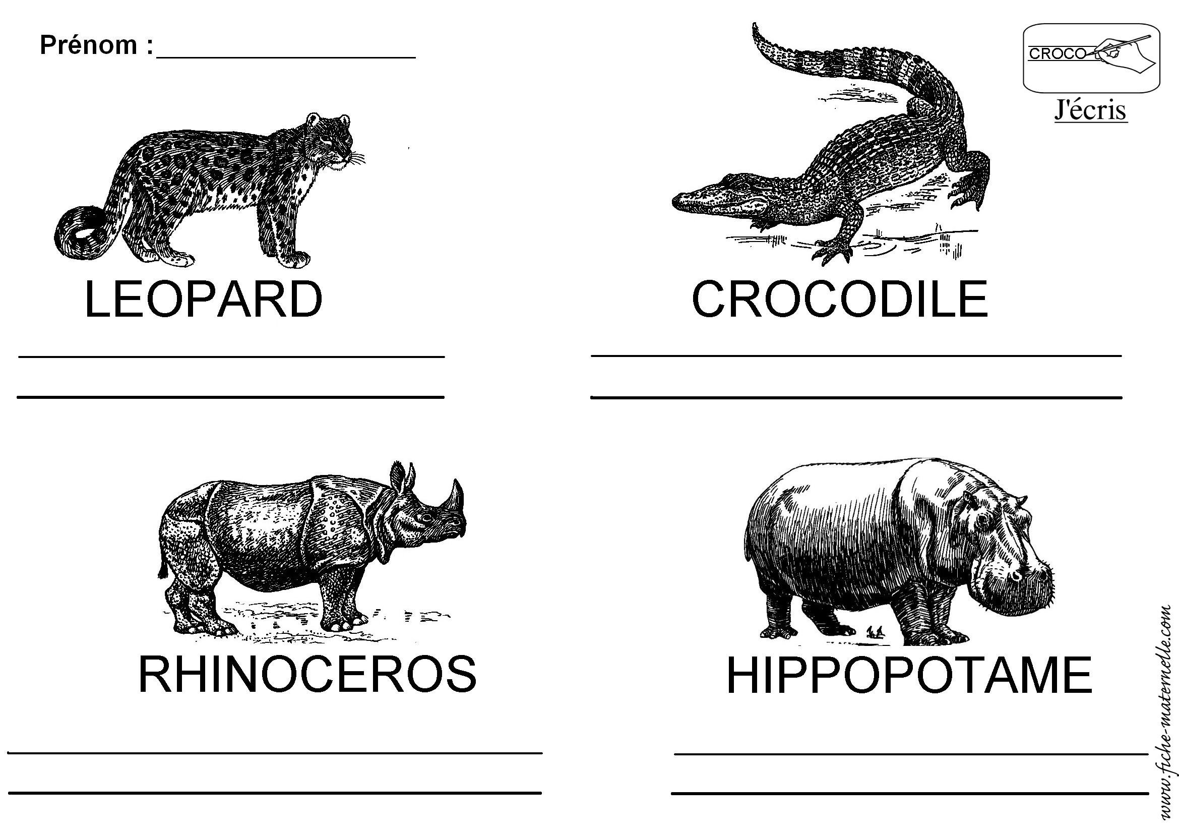 Ecrire le nom des animaux