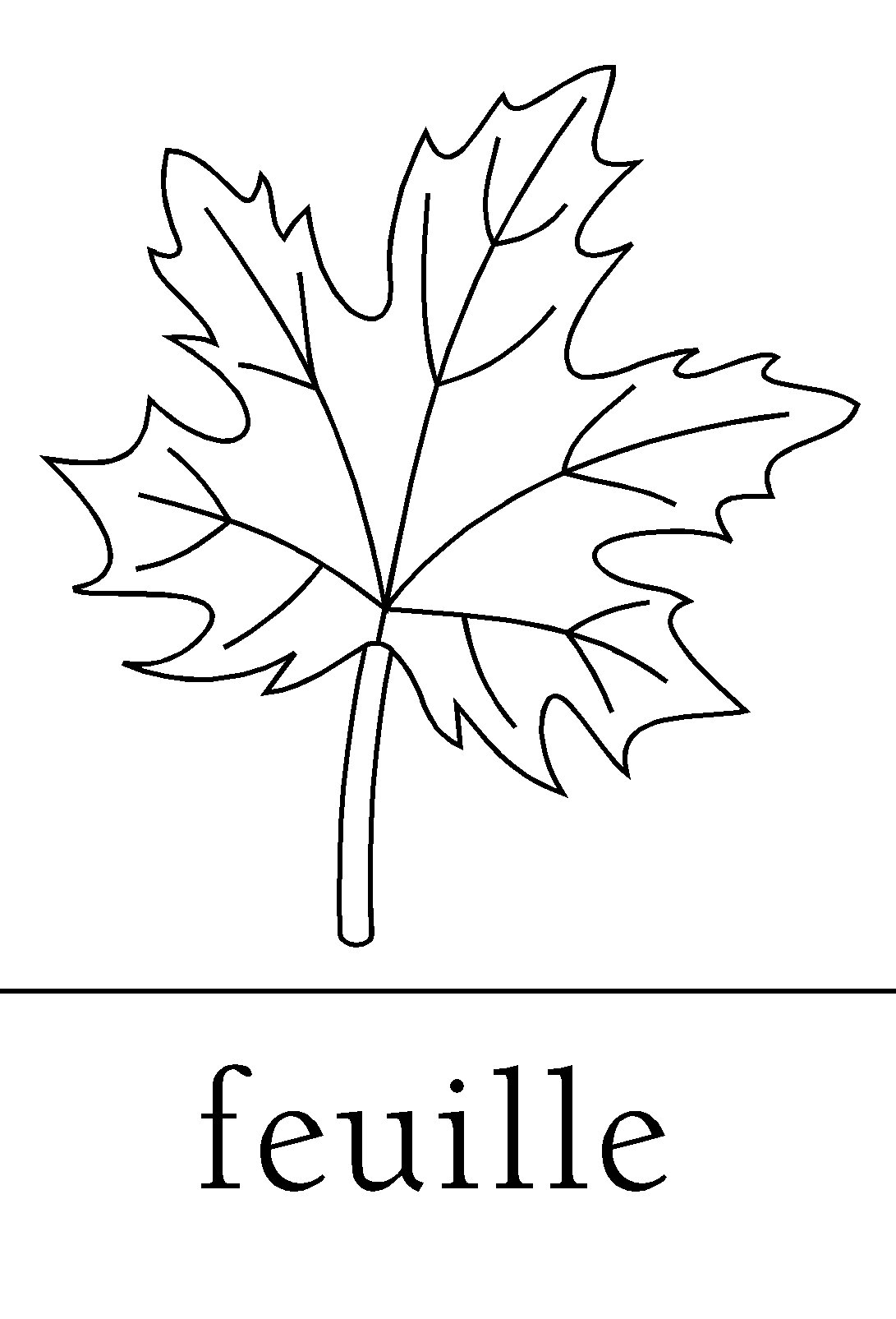 Feuille D Automne Colorier Coloriage Feuille Automne Dessin 