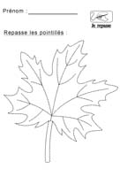 Repasser les pointills dessinant des objets sur le theme de l automne