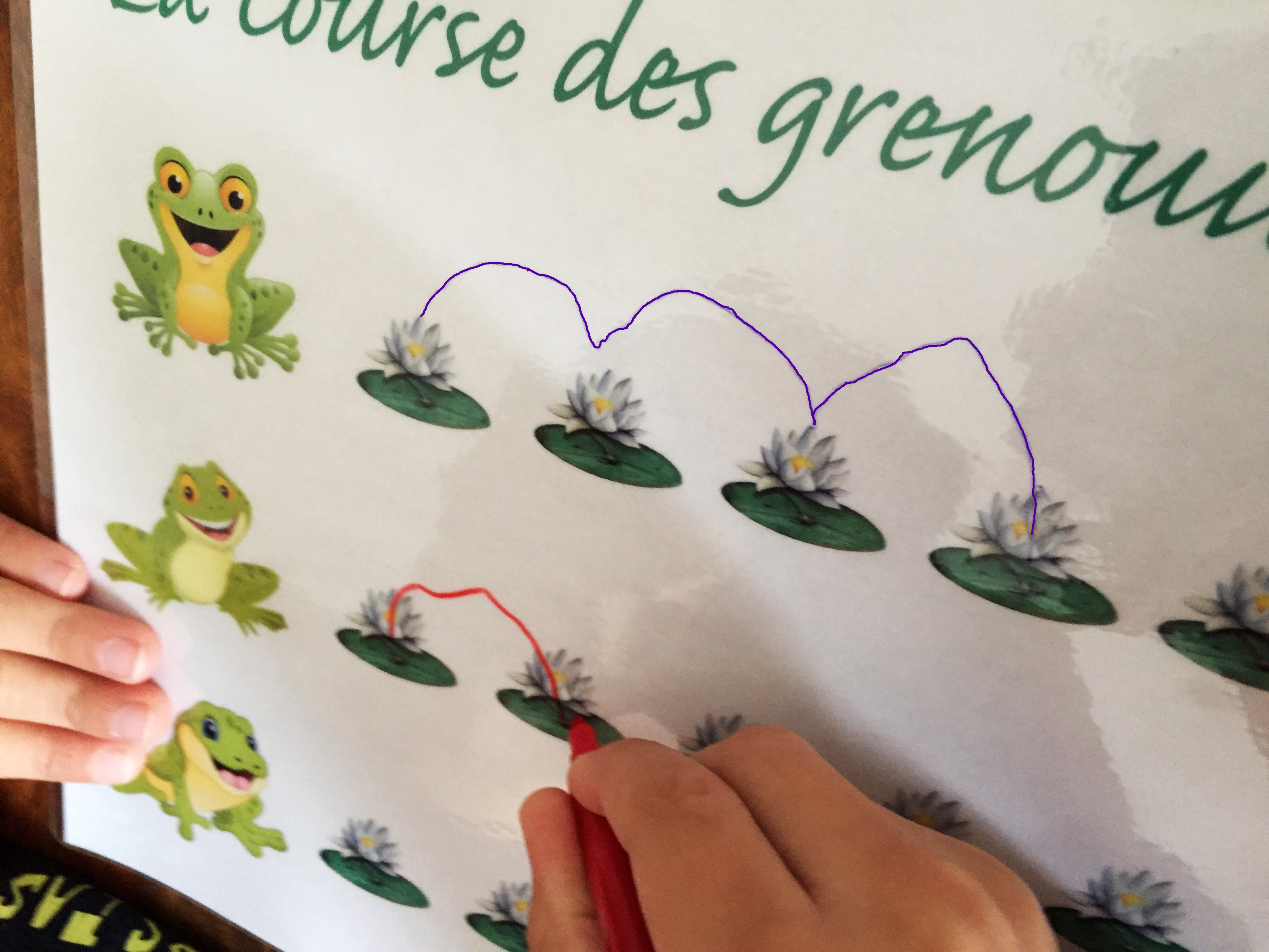 La course des grenouille fiche