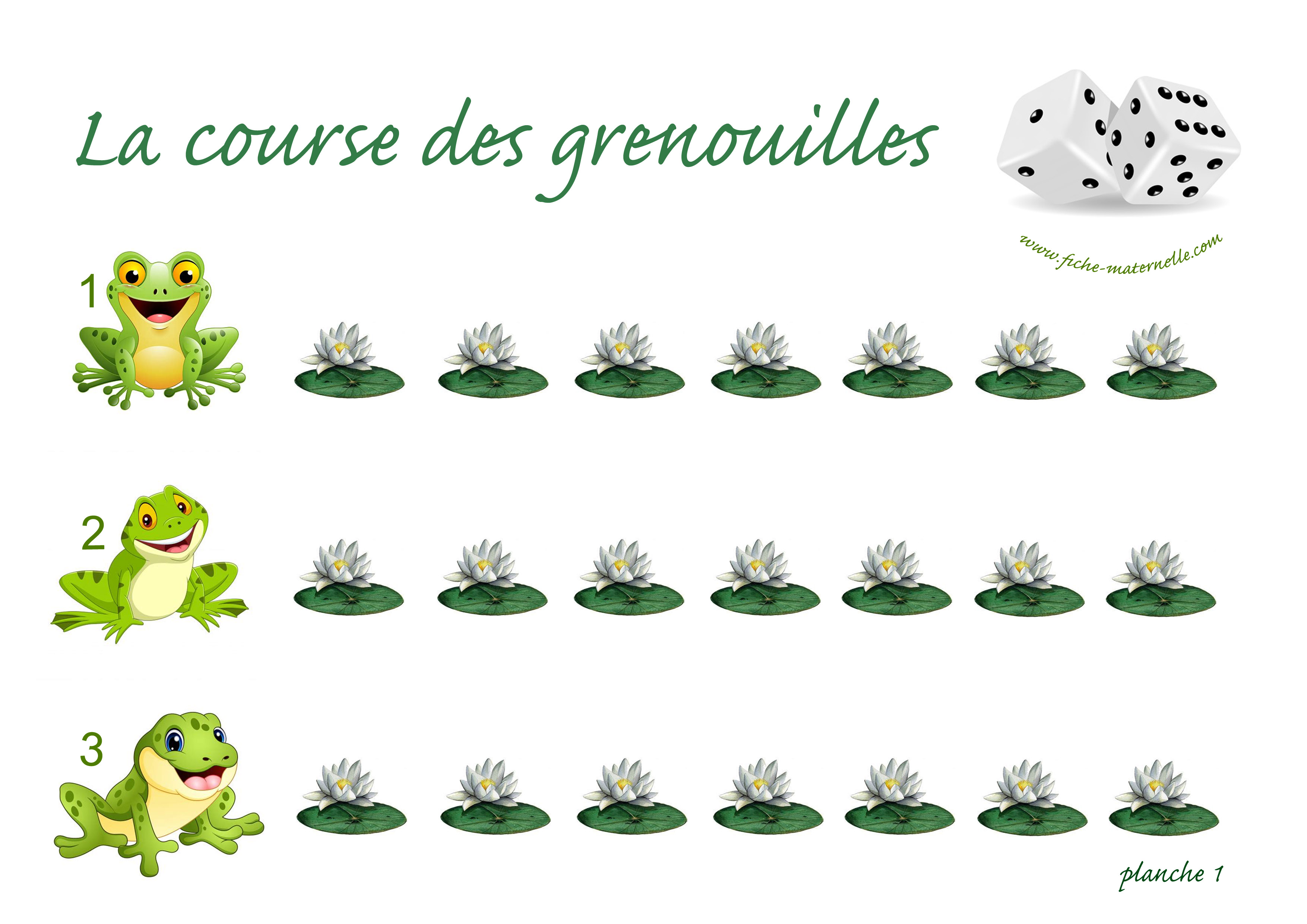 La course des grenouille plateau 1