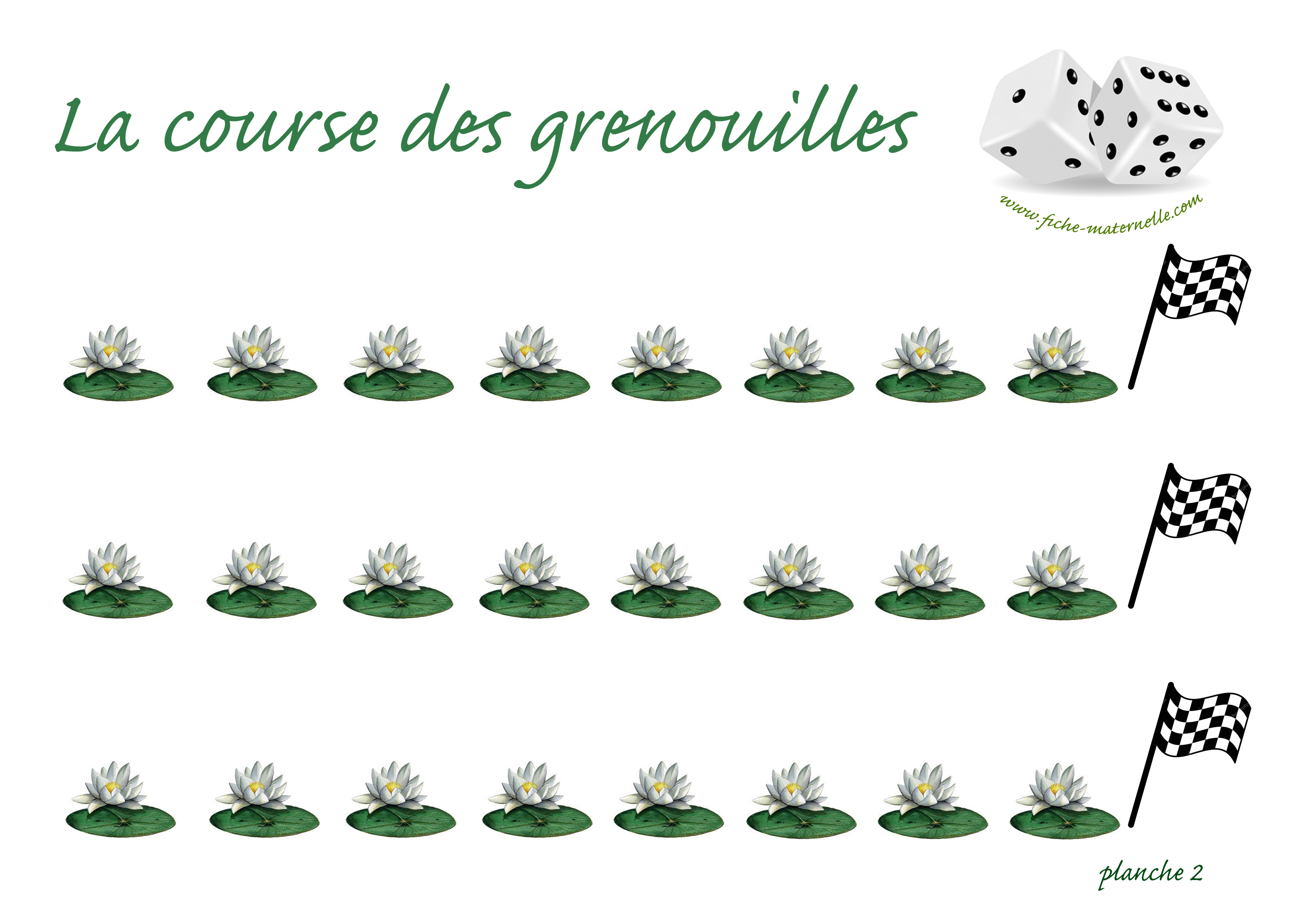 La course des grenouille plateau 2