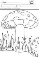 Tracer les lamelles du champignon