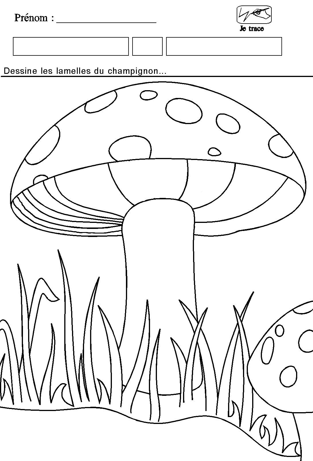 La ligne autour du thme du champignon