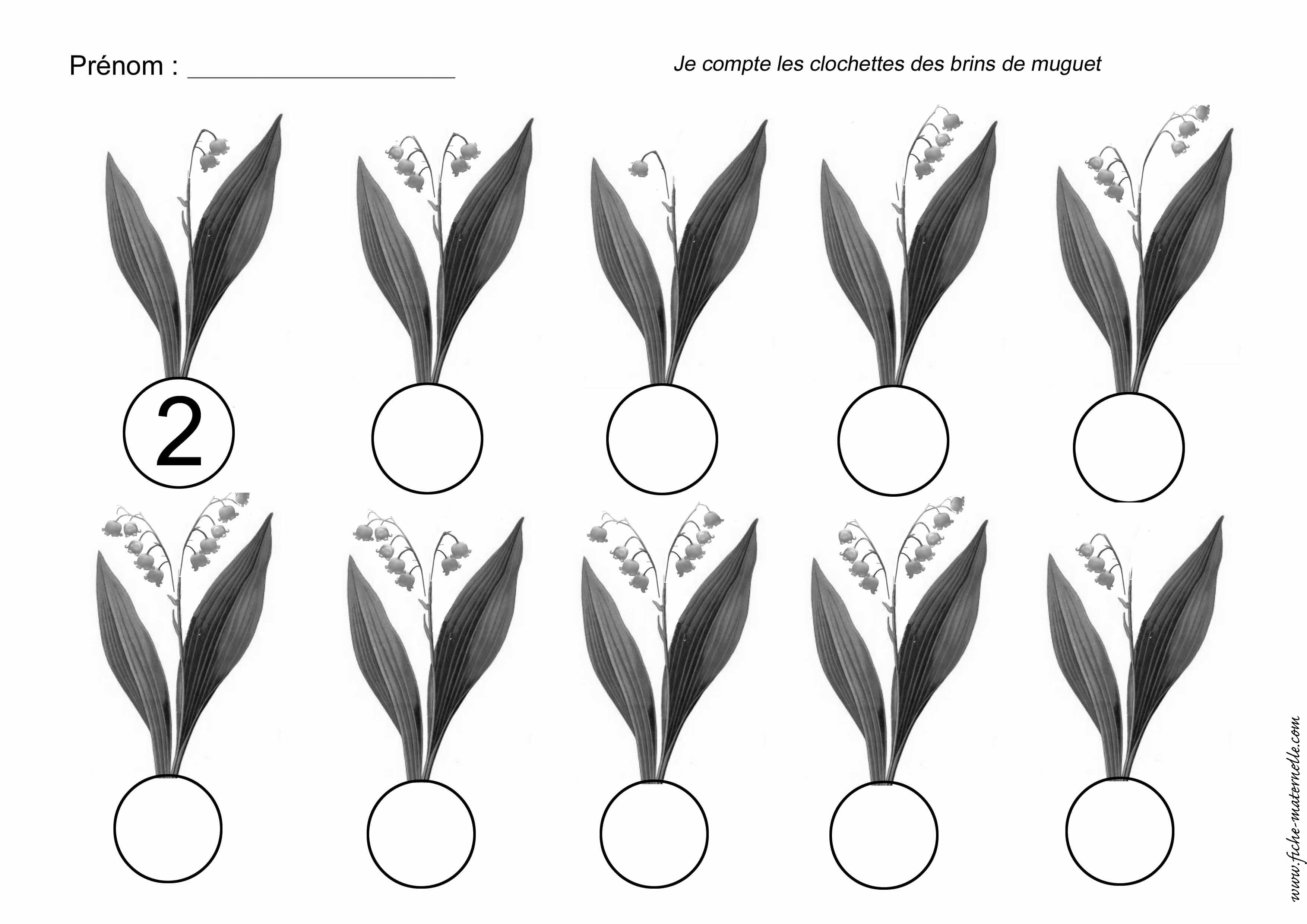 Compter les clochettes du muguet.