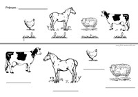 Ecrire le nom des animaux de la ferme