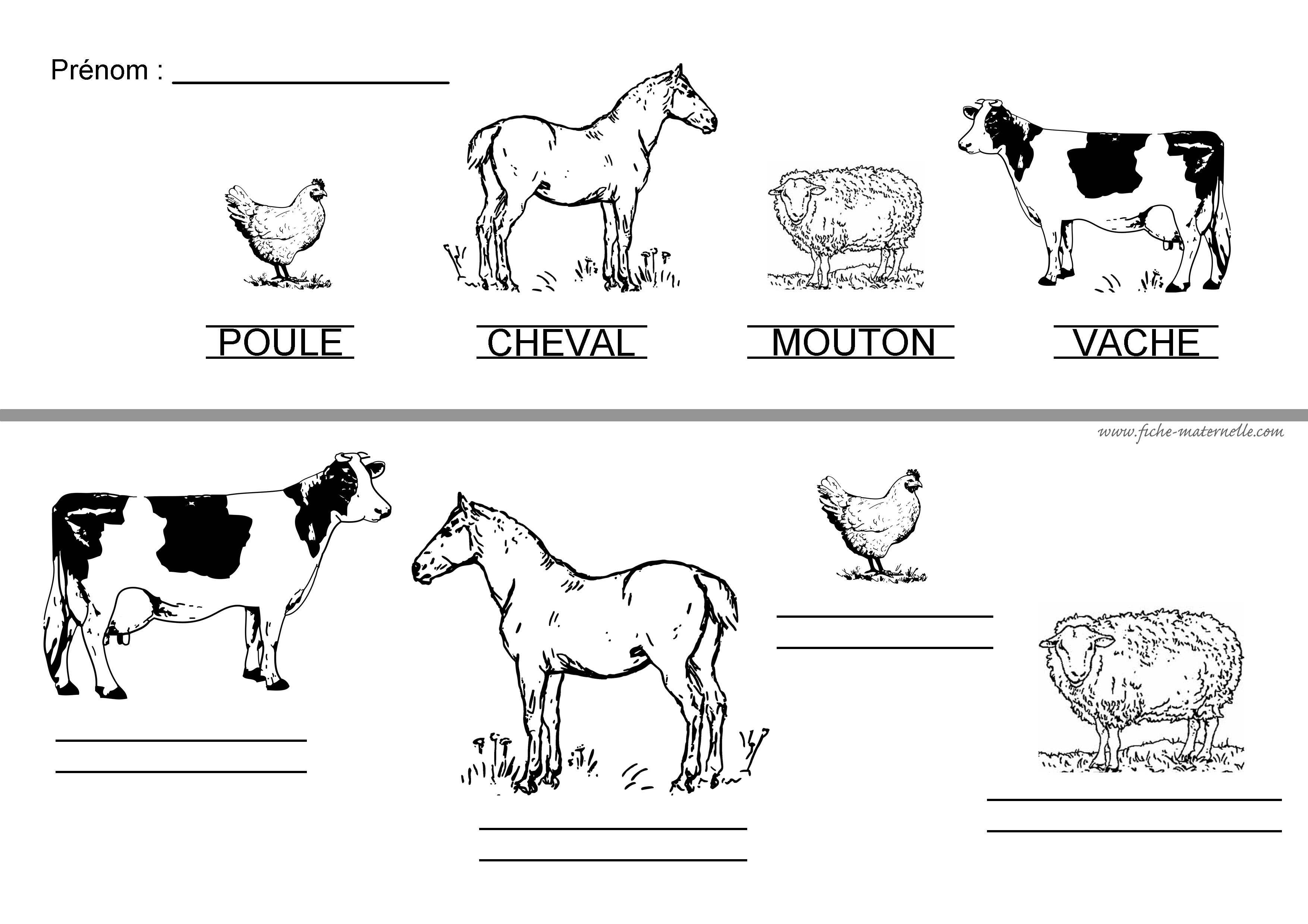 Les animaux de la ferme - Découverte du Monde, Ecriture, Etude de la Langue  Grande Section, Maternelle, Moyenne Section, Petite Section - La Salle des  Maitres