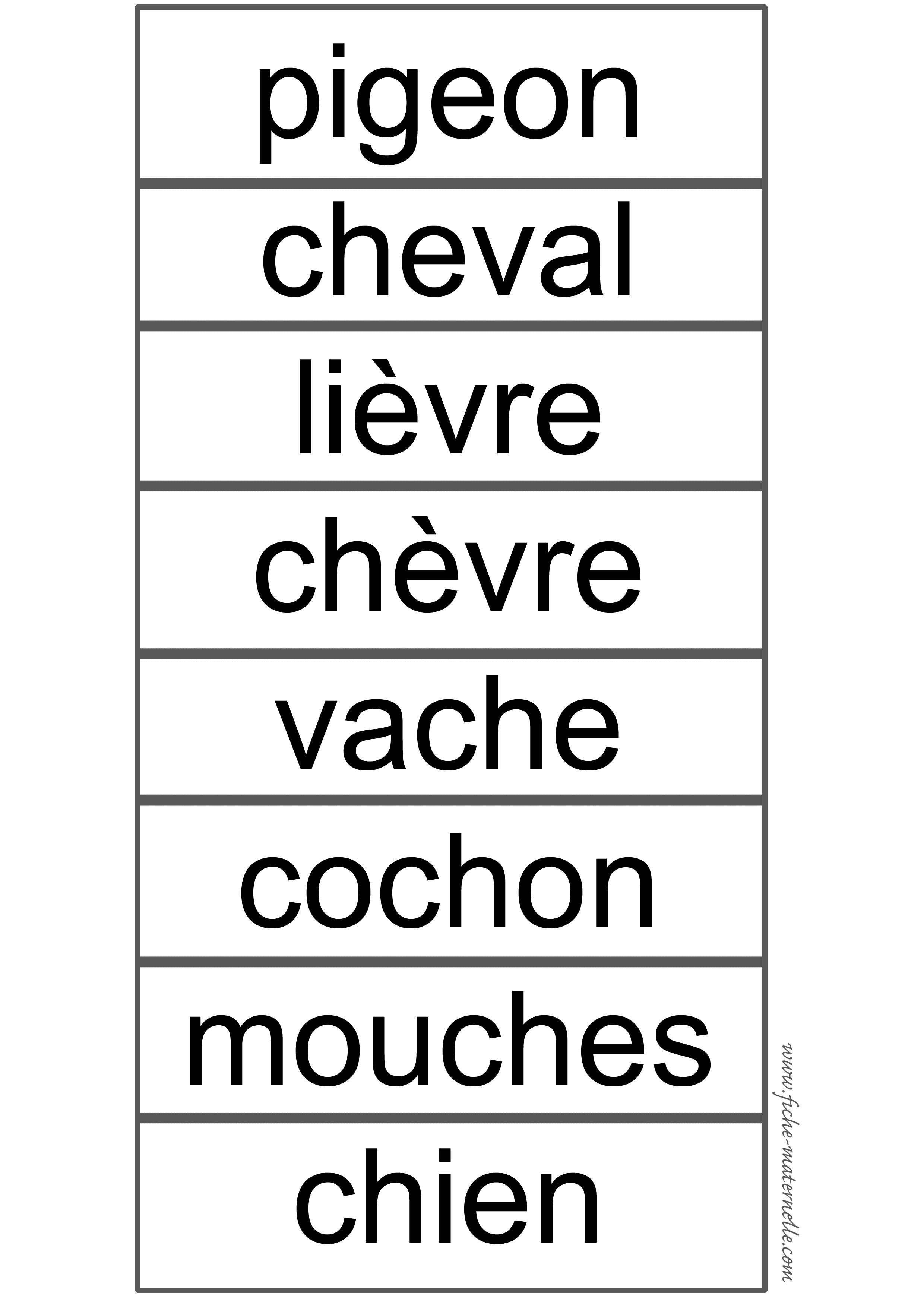 La petite taupe qui voulait savoir qui lui avait fait sur la tte