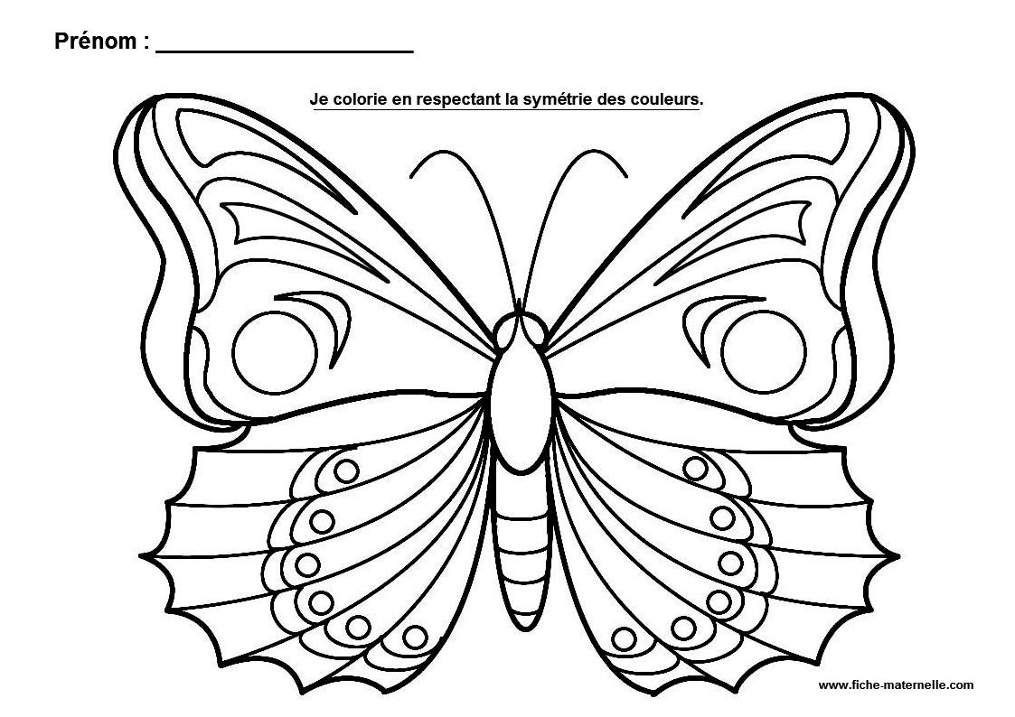 papillon dessin