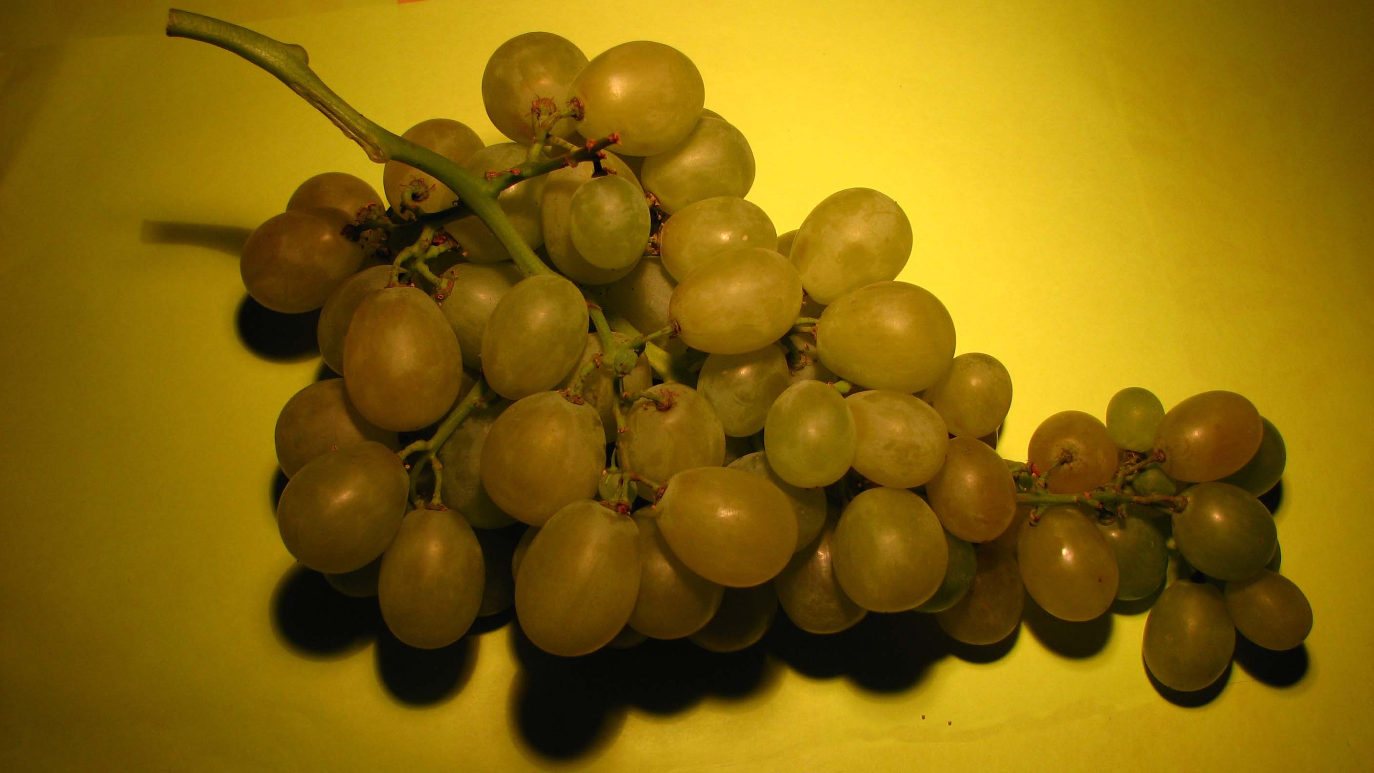 Photo d une grappe de raisin