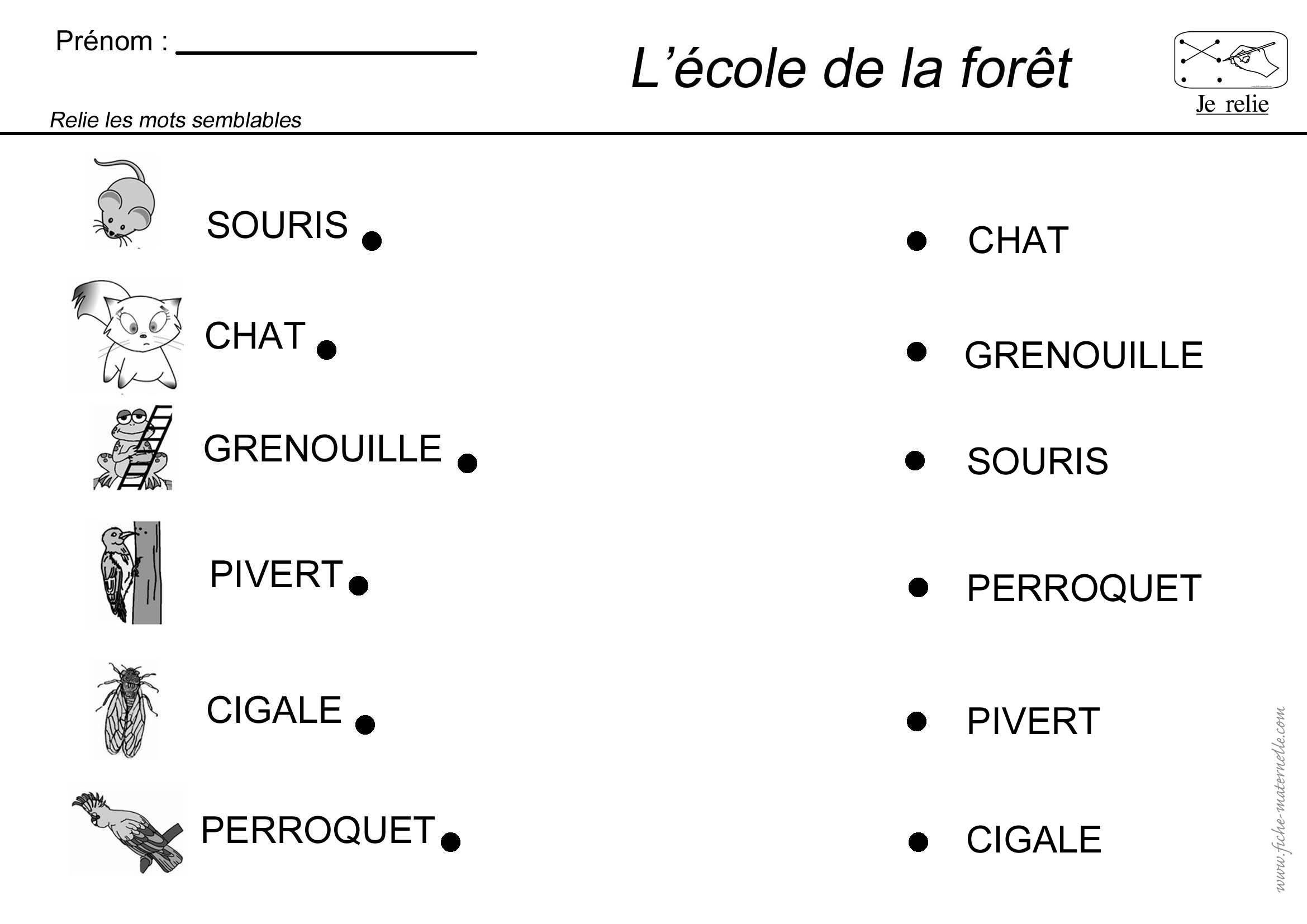 Cr er Exercice Relier Word G n rateur De Mots Relier PMVG