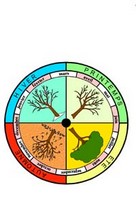 la roue des saisons  dcouper et colorier