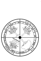 la roue des saisons  dcouper et colorier